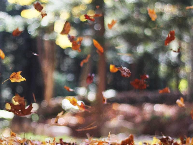 Content Generation UI